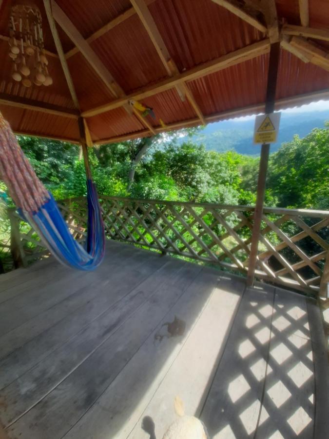 Deep Forest Posadas Ecoturisticas El Zaino Exterior photo
