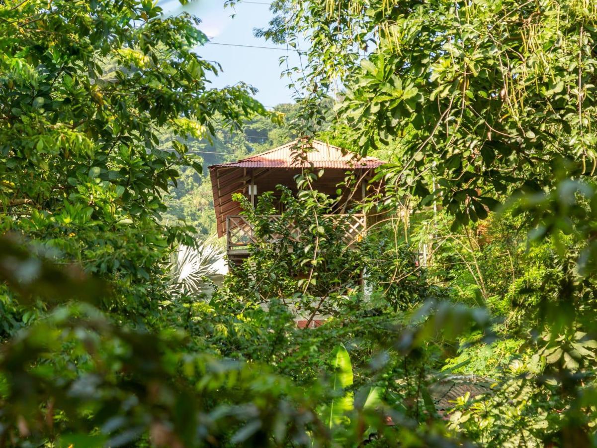 Deep Forest Posadas Ecoturisticas El Zaino Exterior photo