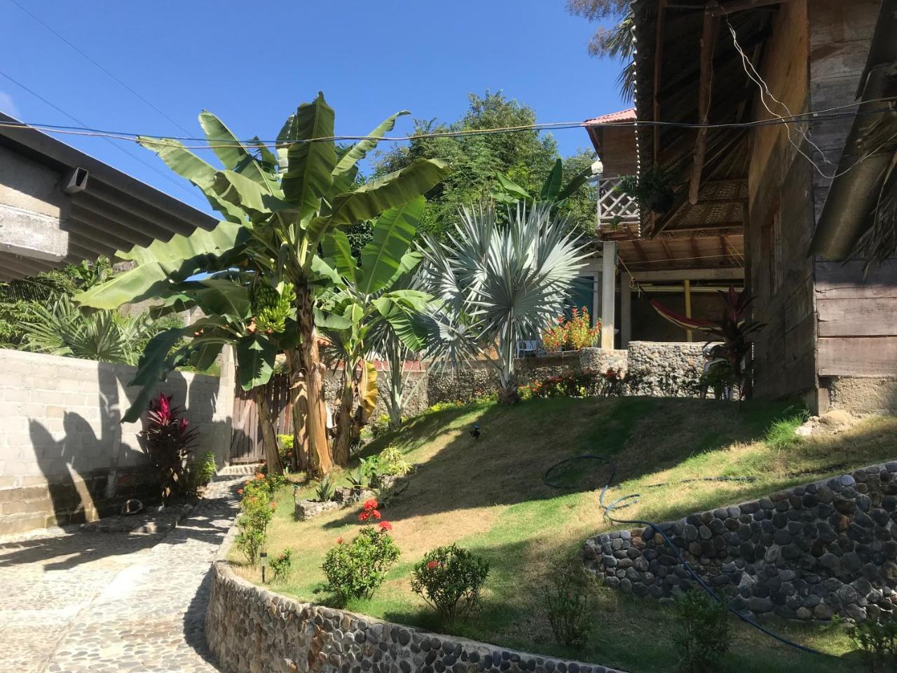 Deep Forest Posadas Ecoturisticas El Zaino Exterior photo
